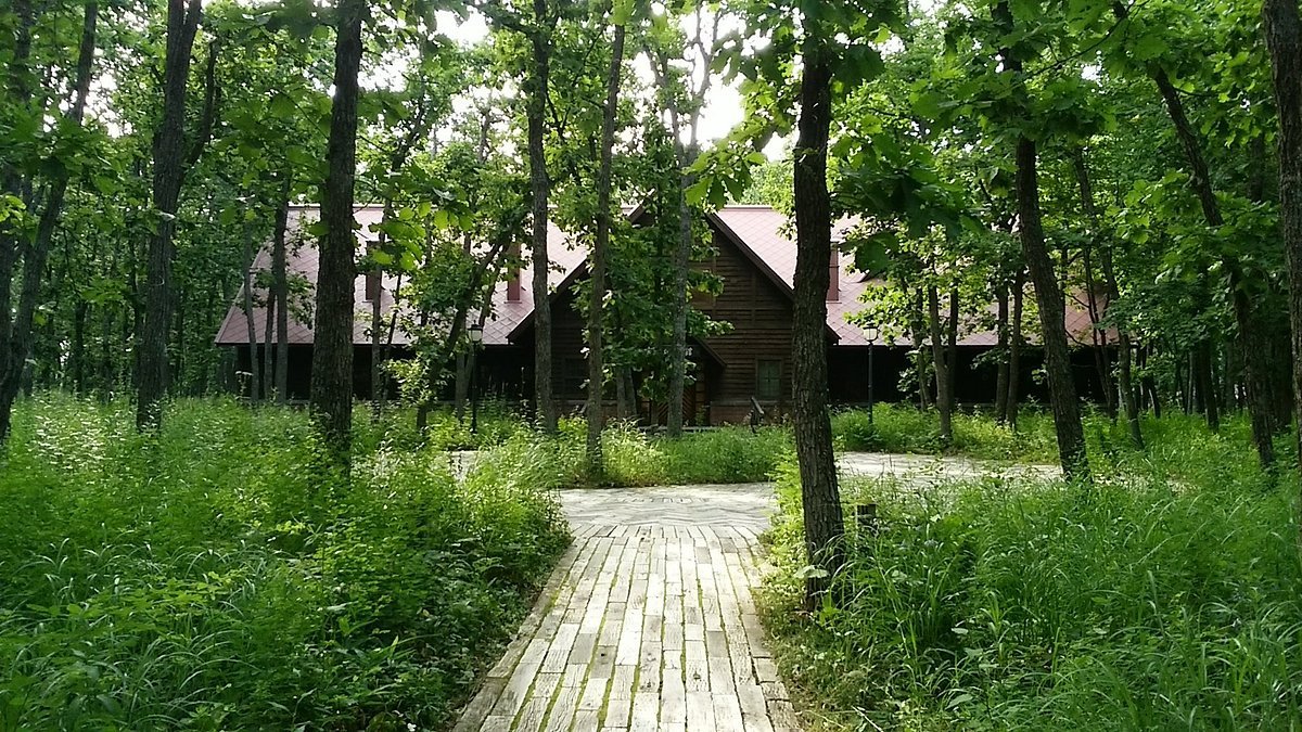 🎨 나카사츠나이 미술촌 이미지 1